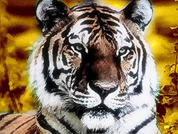 Original image Original image