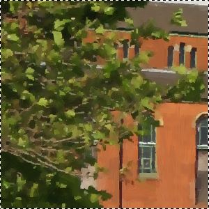 Leaves Leaves