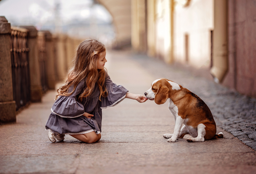 Originalbild Originalbild