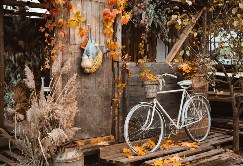 Originalbild Originalbild