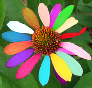 Using Artistic Tools Using Artistic Tools