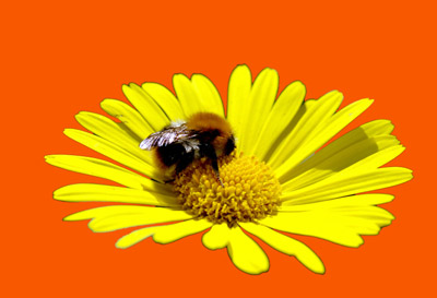 Selected area on a color background Selected area on a color background