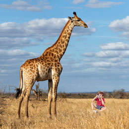Montage photo : girafe et un garçon