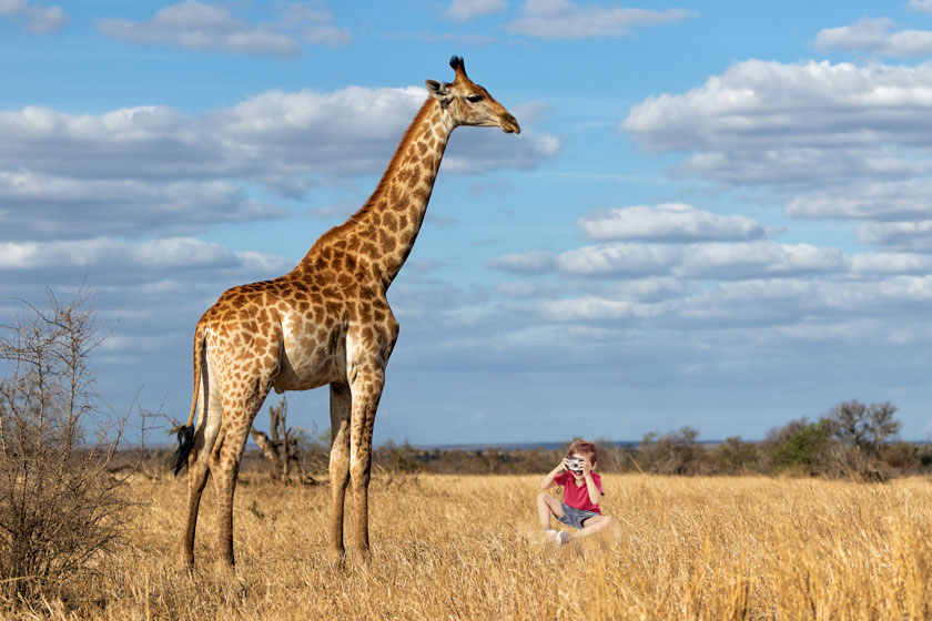 Готовый коллаж: мальчик фотографирует жирафа